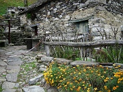 Uno sguardo all'interno del piccolo agglomerato di baite